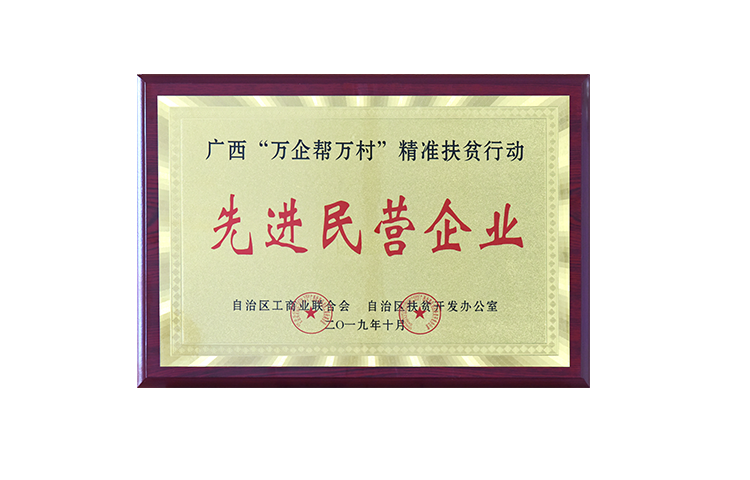 广西“万企帮万村”精准扶贫行动先进民营企业